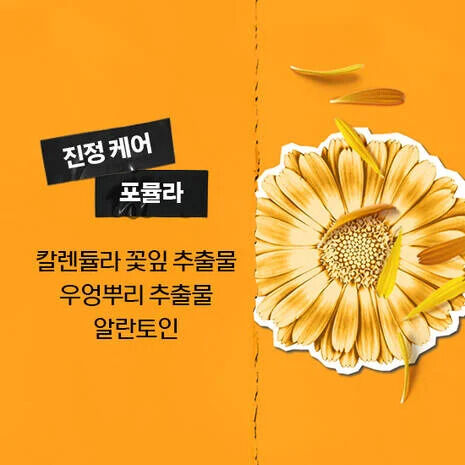칼렌듈라 꽃잎 토너 500ML 세트
