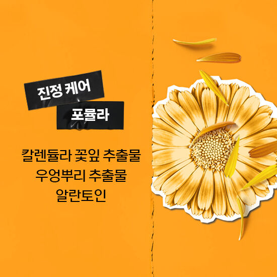 키엘 칼렌듈라 꽃잎 진정 토너