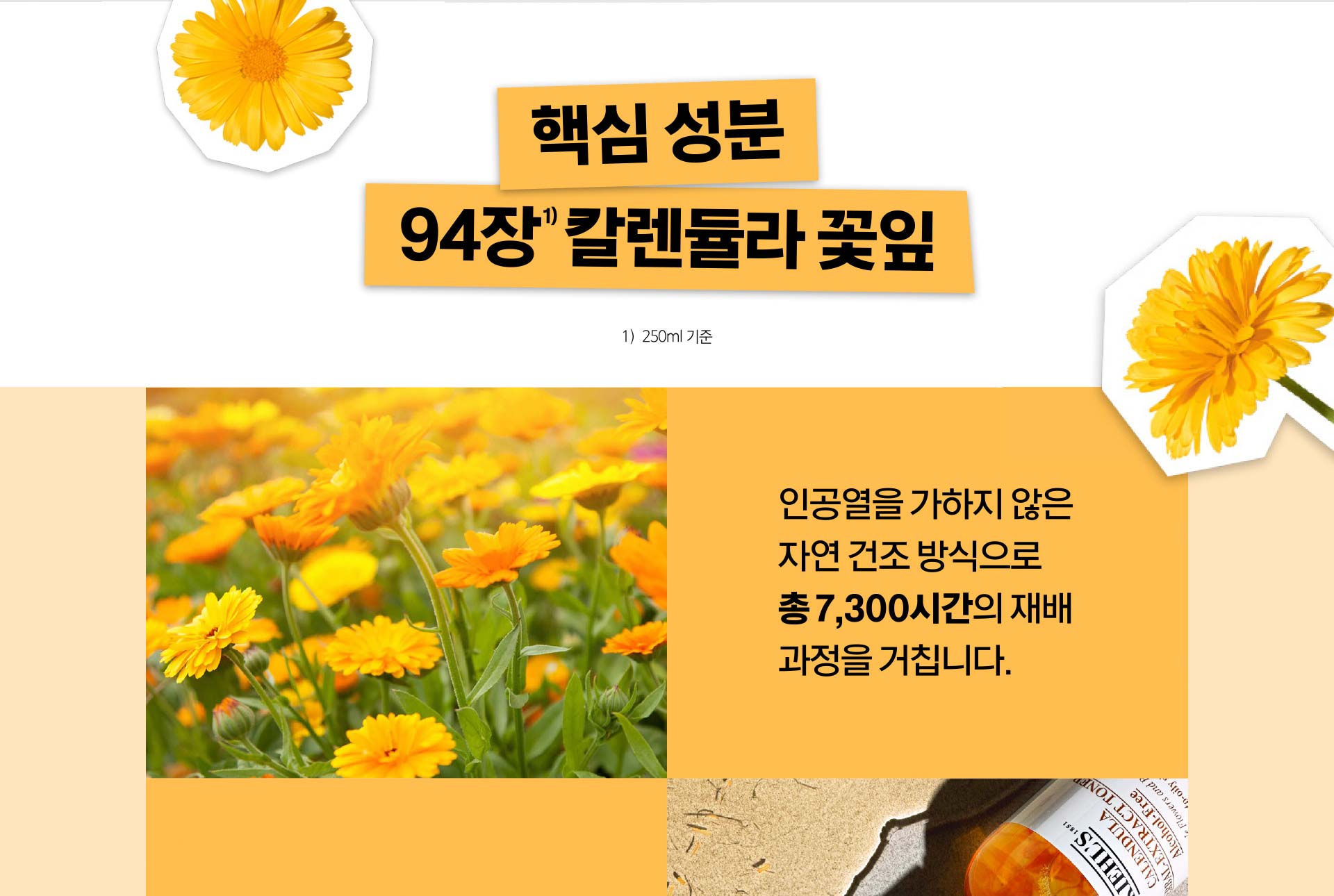 Calendula_Toner