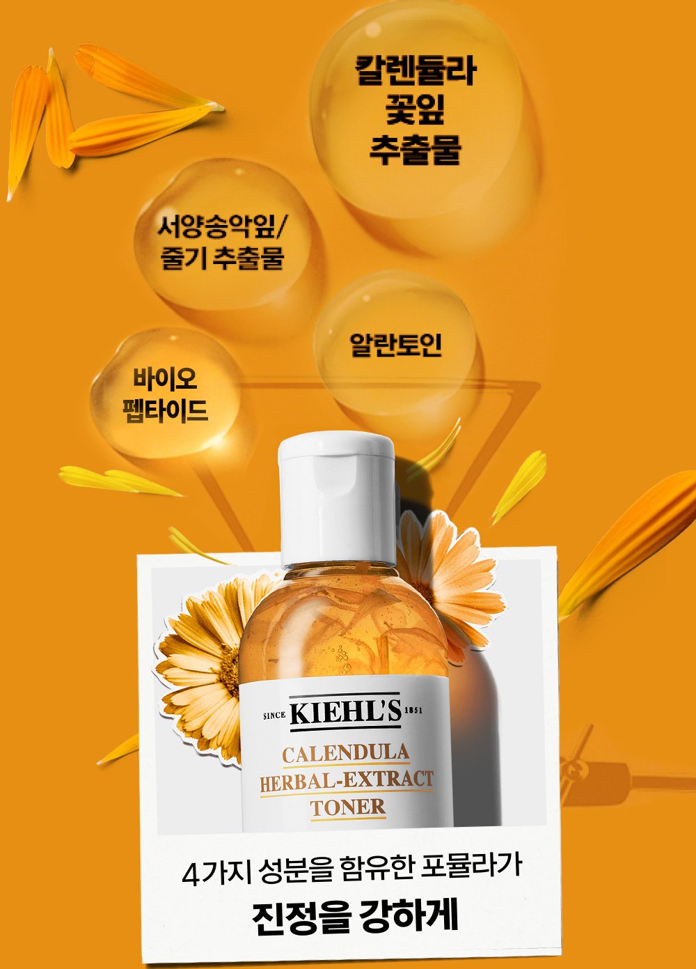 Calendula_Toner