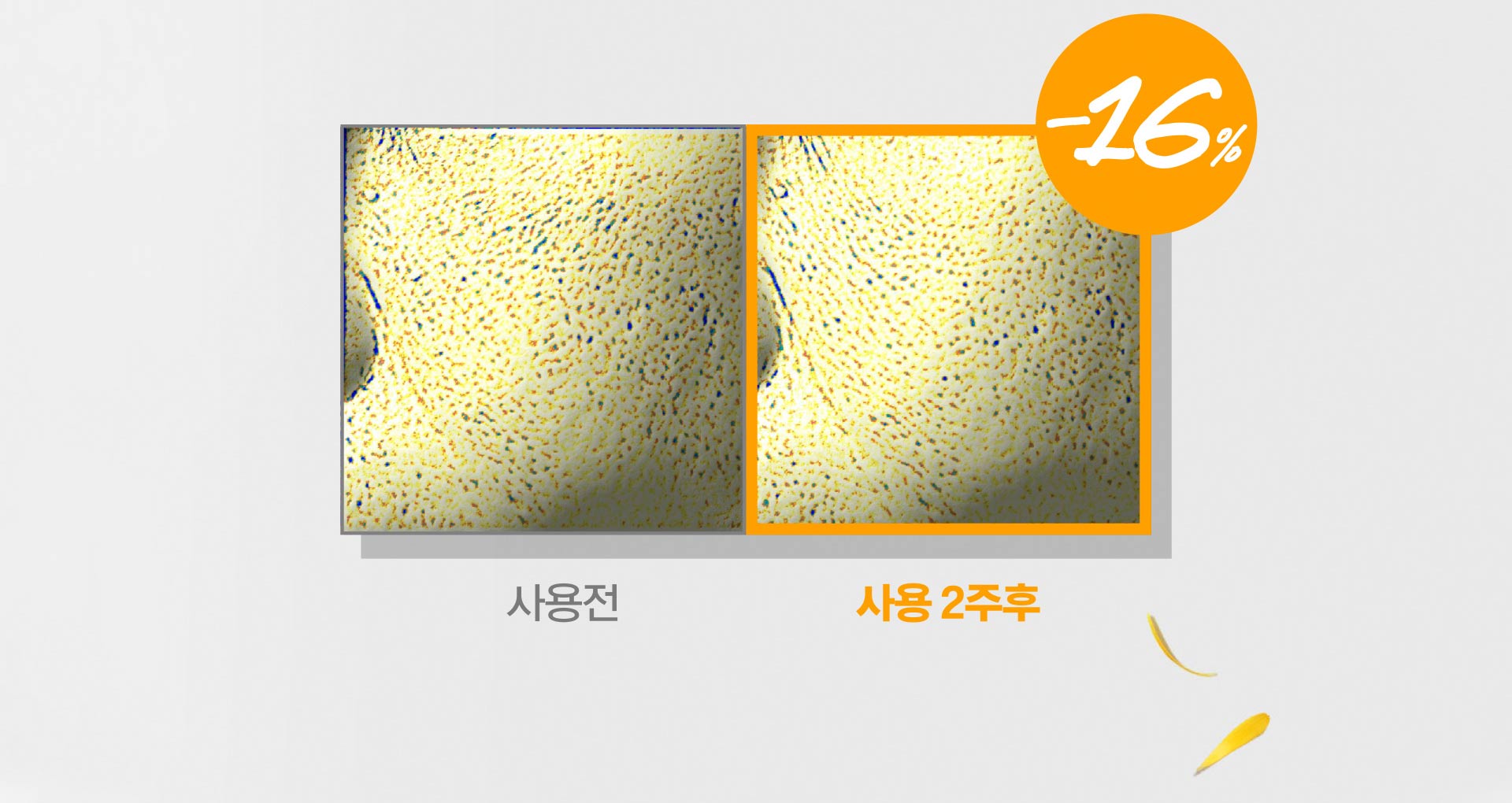 Calendula_Toner